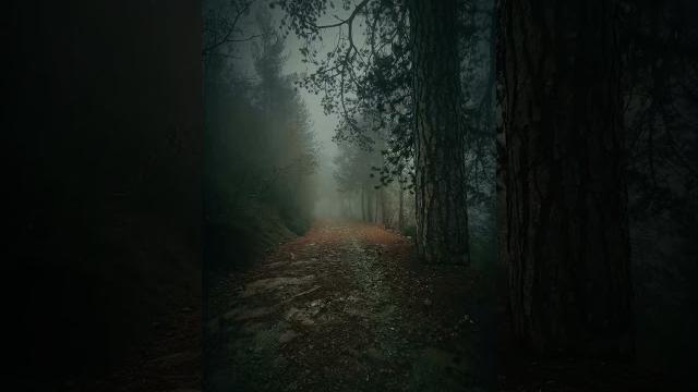 Status Video | Beautiful Nature #viralstatusvideo #BeautifulScenery #love #Feeling #Lovefeeling Status Video | Beautiful Nature #viralstatusvideo #BeautifulScenery #love #Feeling #Lovefeeling
