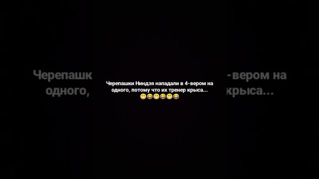 Мем про черепашек ниндзя и их тренера Мем про черепашек ниндзя и их тренера