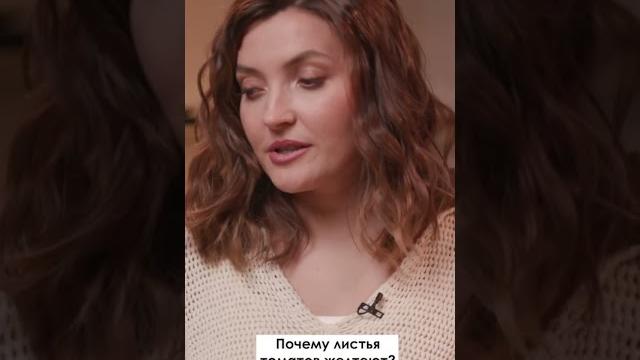 Почему листья томатов желтеют Почему листья томатов желтеют