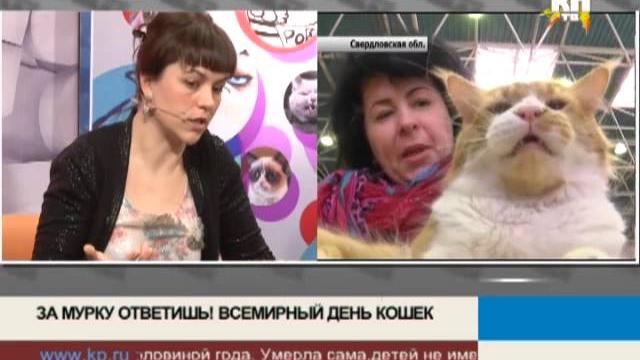 За марку ответишь! Всемирный день кошек За марку ответишь! Всемирный день кошек