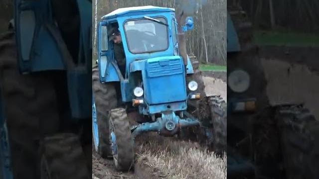Синий трактор Синий трактор