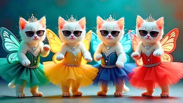 बिल्ली डांस | Cutest Cat videos funny danceVideos for cats #funny #dancingcat #cat @Meow_cat99 बिल्ली डांस | Cutest Cat videos funny danceVideos for cats #funny #dancingcat #cat @Meow_cat99