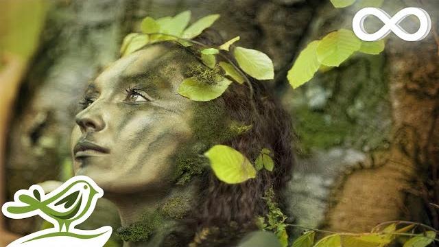 Расслабляющая Кельтская Музыка для Отдыха и Медитации | "Dance of Life" Расслабляющая Кельтская Музыка для Отдыха и Медитации | "Dance of Life"