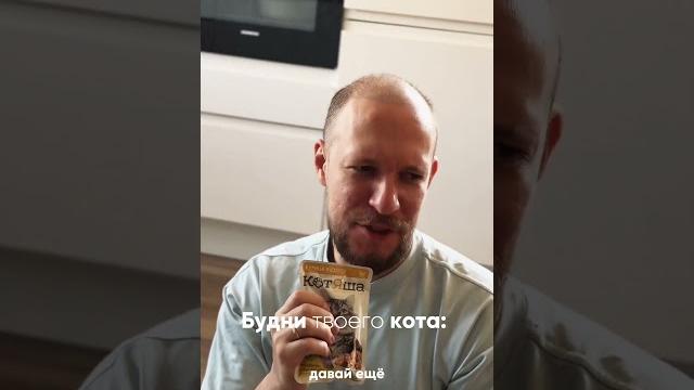 Будни вашего кота #юмор Будни вашего кота #юмор