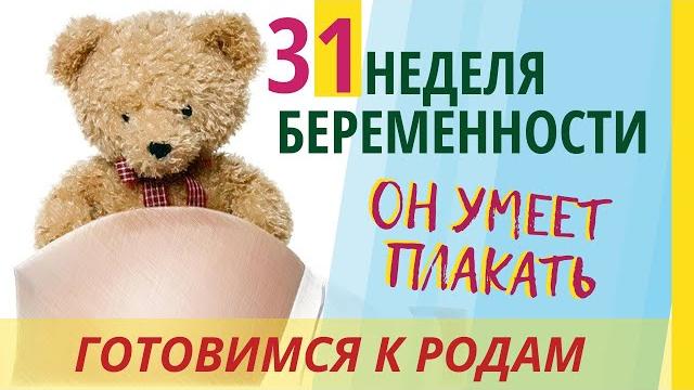 31 неделя беременности. Развитие плода. УЗИ в 3D. Что чувствует беременная. Как выглядит ребенок 31 неделя беременности. Развитие плода. УЗИ в 3D. Что чувствует беременная. Как выглядит ребенок