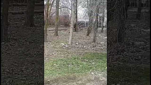 МУСОР, МУСОР: жители улицы Маршала Кошевого в Волгодонске жалуются мусор около станции переливания. МУСОР, МУСОР: жители улицы Маршала Кошевого в Волгодонске жалуются мусор около станции переливания.
