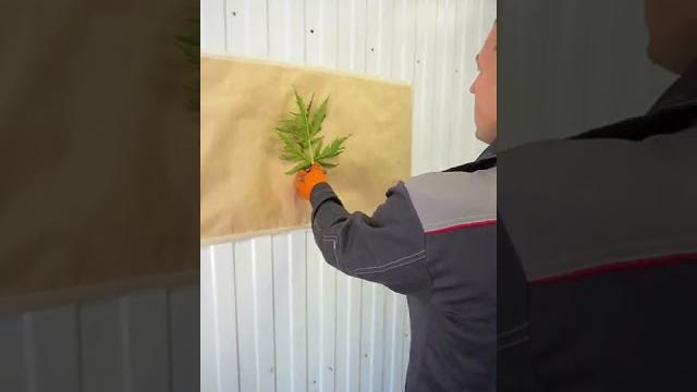 Окраска в камуфляж под местную растительность. Окраска в камуфляж под местную растительность.