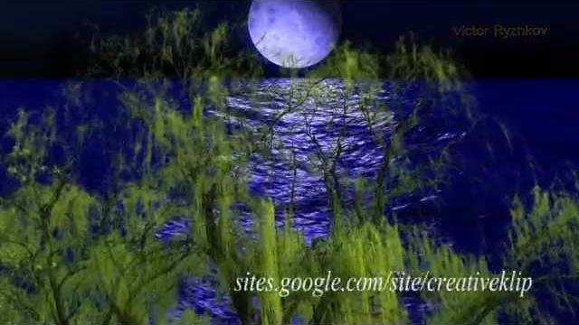Природа видео Природа видео