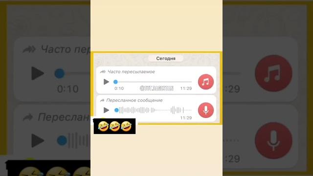 И снова Дагестанский чат в Вотсапе И снова Дагестанский чат в Вотсапе