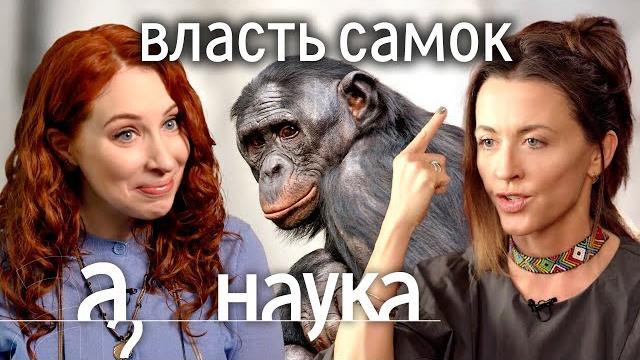 Утки-насильники, гиены - мужененавистницы, сурикатихи-убийцы. Что будет, если мир захватят женщины? Утки-насильники, гиены - мужененавистницы, сурикатихи-убийцы. Что будет, если мир захватят женщины?