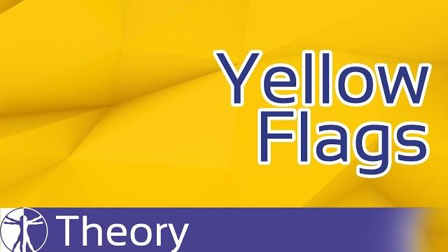 What are Yellow Flags and Why are They Important? What are Yellow Flags and Why are They Important?