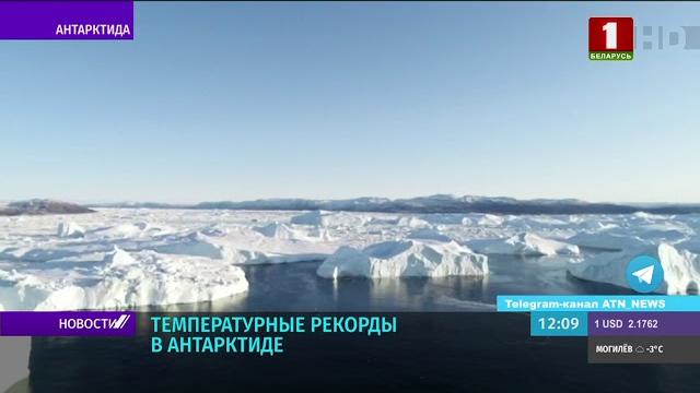 Небывалое потепление в Антарктиде Небывалое потепление в Антарктиде