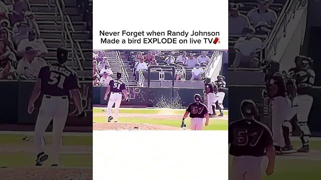 Never Forget when Randy Johnson made a bird EXPLODE on live TV #mlb #baseball #bird #animals Never Forget when Randy Johnson made a bird EXPLODE on live TV #mlb #baseball #bird #animals