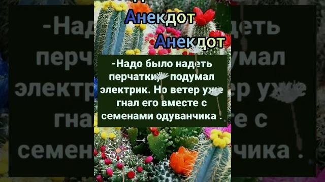 Анекдот про электрика. Анекдот про электрика.
