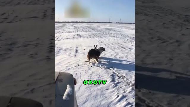 А Жене Сказал Что На Охоту Поехал А Жене Сказал Что На Охоту Поехал
