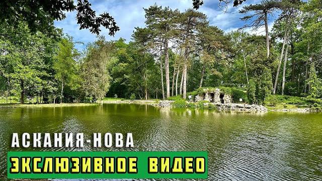 Отличное место для спокойного отдыха - заповедник "Аскания-Нова". Сколько стоит и где переночевать. Отличное место для спокойного отдыха - заповедник "Аскания-Нова". Сколько стоит и где переночевать.