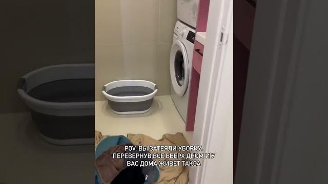 Укромных мест мастер #смешно#dachshund #sausagedog #такса#минитакса #юмор #humor #joke #шутки Укромных мест мастер #смешно#dachshund #sausagedog #такса#минитакса #юмор #humor #joke #шутки