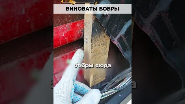 Как спасти свои пороги на авто Как спасти свои пороги на авто