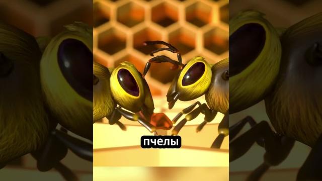 Секрет изготовления меда пчелами! #факты Секрет изготовления меда пчелами! #факты