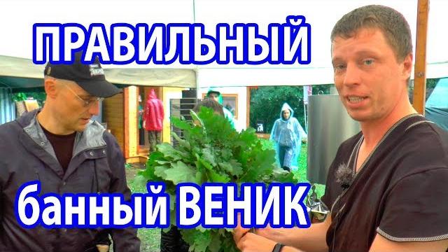 КАК вязать ДУБОВЫЙ веник для бани ПРАВИЛЬНО? КАК вязать ДУБОВЫЙ веник для бани ПРАВИЛЬНО?