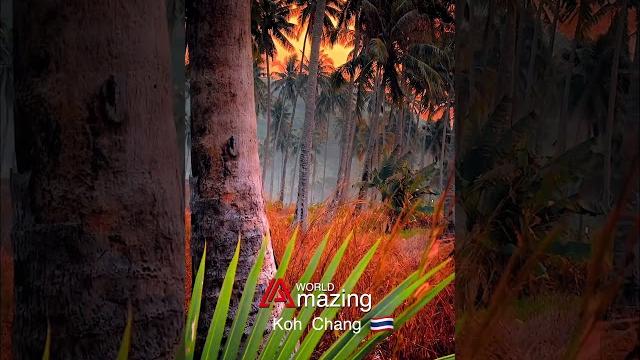 Thai, #amazing, #video, #thailand Thai, #amazing, #video, #thailand