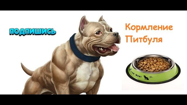 Голодная Стая Питбулей Голодная Стая Питбулей