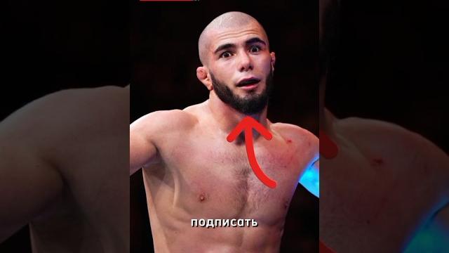 Почему Мокаев будет уволен из UFC#shorts Почему Мокаев будет уволен из UFC#shorts