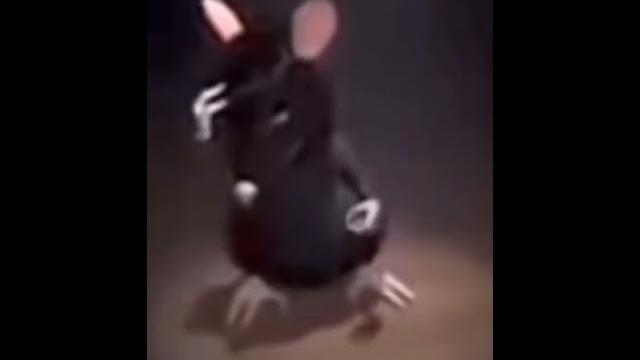 крыса танцует под бит-бокс #видео #мем #крыса крыса танцует под бит-бокс #видео #мем #крыса
