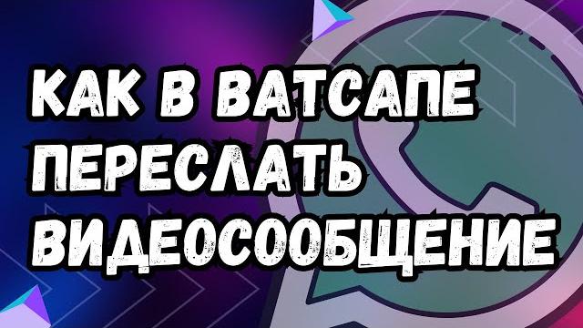 Как В Ватсапе Переслать Видеосообщение Как В Ватсапе Переслать Видеосообщение
