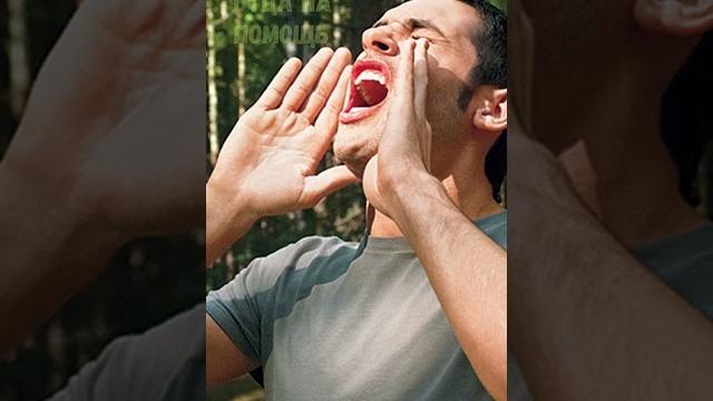 Нападение акулы в Египте. Владимир попов Нападение акулы в Египте. Владимир попов