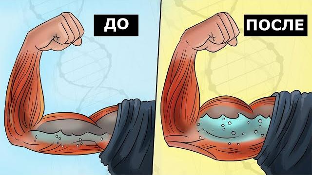 Сколько нужно Пить Воды для Набора Массы| Научные данные Сколько нужно Пить Воды для Набора Массы| Научные данные