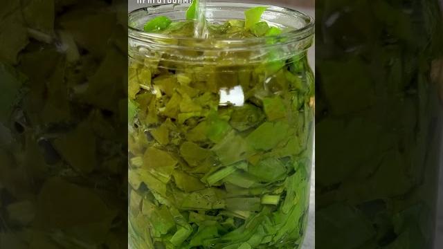 Лучший способ заготовки щавеля на зиму без соли и уксуса. Банки храню при комнатной температуре Лучший способ заготовки щавеля на зиму без соли и уксуса. Банки храню при комнатной температуре