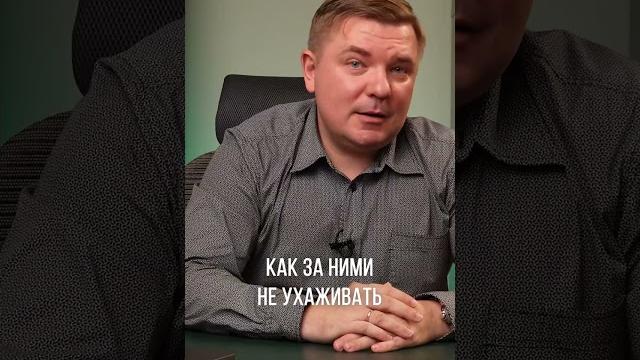 Если ты такой умный, то почему бедный? Если ты такой умный, то почему бедный?