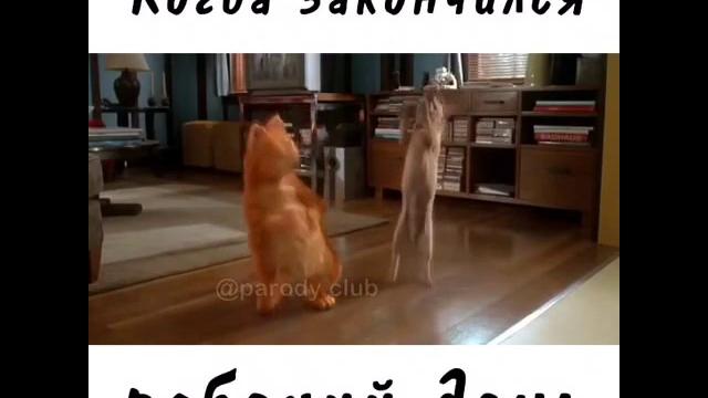 видео на татарском языке видео на татарском языке