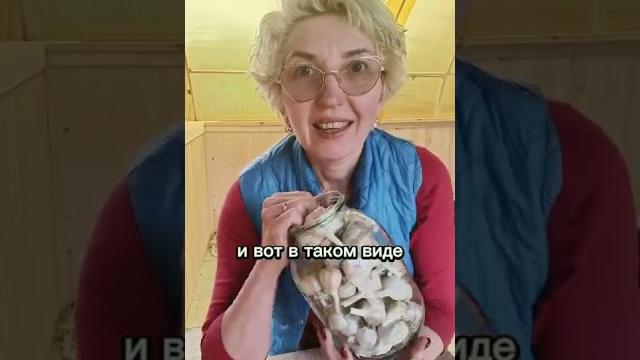 Как хранить чеснок зимой, чтобы он не испортился? Как хранить чеснок зимой, чтобы он не испортился?