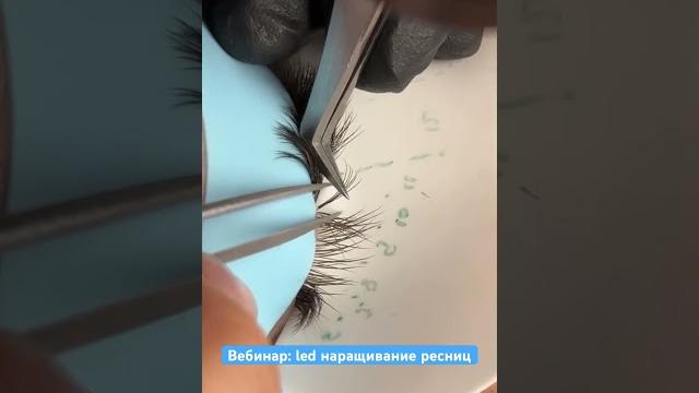 Лед наращивание ресниц. Обучение led наращиванию #наращиваниересниц #ресницы #леднаращиваниересниц Лед наращивание ресниц. Обучение led наращиванию #наращиваниересниц #ресницы #леднаращиваниересниц