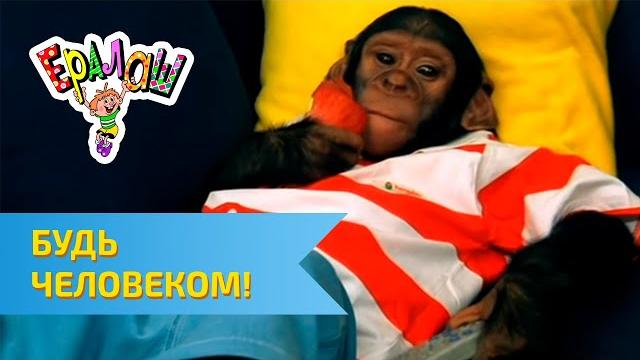 Ералаш Будь человеком! (Выпуск №193) Ералаш Будь человеком! (Выпуск №193)