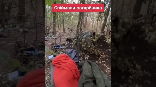 ‼️‼️‼️С добрым утром ‼️‼️‼️С добрым утром
