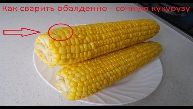 Как варить кукурузу чтобы она была мягкая и сочной Как варить кукурузу чтобы она была мягкая и сочной