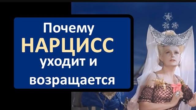 Почему нарцисс возвращается и опять уходит Почему нарцисс возвращается и опять уходит