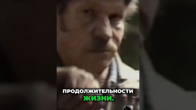 Леонид Каневский | Водка в СССР: дефицит, который изменил всё #леонидканевский #следствиевели #ссср Леонид Каневский | Водка в СССР: дефицит, который изменил всё #леонидканевский #следствиевели #ссср