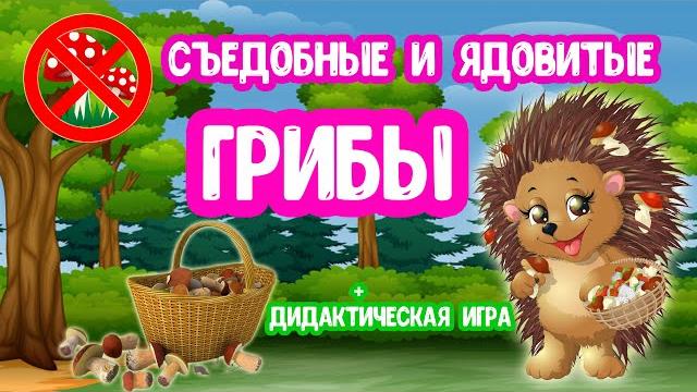 Съедобные и Ядовитые ГРИБЫ для детей Дидактическая игра Съедобные и Ядовитые ГРИБЫ для детей Дидактическая игра