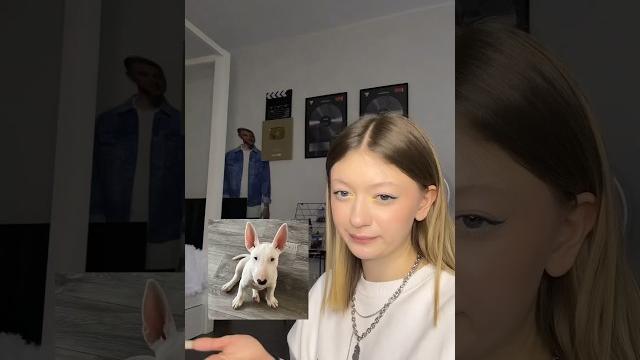 Маня доберман! Маня доберман!