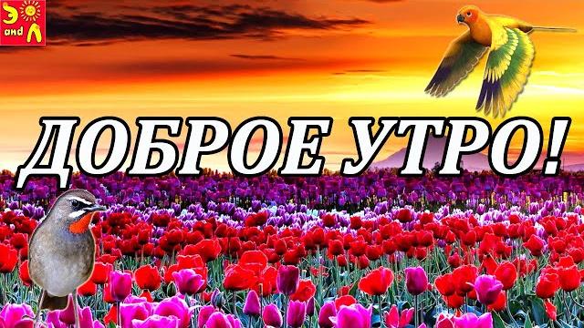 Доброе Утро! Красивое музыкальное пожелание с Добрым Утром! Видео Пожелание С Добрым Утром 2020 Доброе Утро! Красивое музыкальное пожелание с Добрым Утром! Видео Пожелание С Добрым Утром 2020