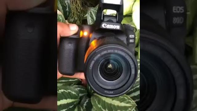canon 80 D canon 80 D