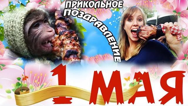 1 МАЯ! ПРИКОЛЬНОЕ ПОЗДРАВЛЕНИЕ С 1 МАЯ! ПРИКОЛЬНАЯ ВИДЕО ОТКРЫТКА С 1 МАЯ! Поздравь Своих Друзей! 1 МАЯ! ПРИКОЛЬНОЕ ПОЗДРАВЛЕНИЕ С 1 МАЯ! ПРИКОЛЬНАЯ ВИДЕО ОТКРЫТКА С 1 МАЯ! Поздравь Своих Друзей!