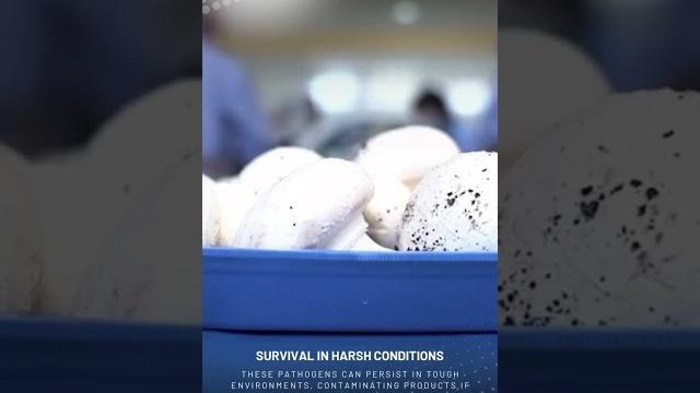 Beyond Listeria Beyond Listeria