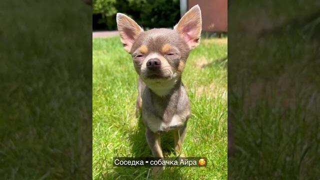 Выкладывать длинное видео с отдыха? Выкладывать длинное видео с отдыха?