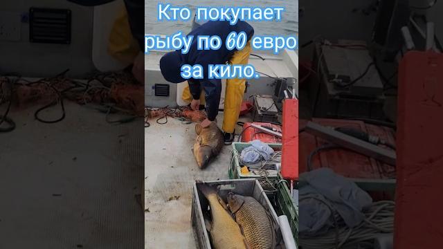 Тот кто получает от6 тысяч евро в месяц (доход семьи от 12 тысяч евро). #рыбалканаозере #fishing Тот кто получает от6 тысяч евро в месяц (доход семьи от 12 тысяч евро). #рыбалканаозере #fishing