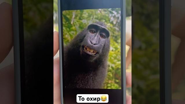 #душанбе #rek #жизнь #прикол #таджикистан #ханда #душанбе #rek #жизнь #прикол #таджикистан #ханда